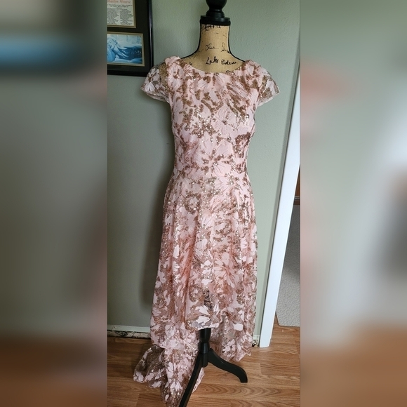 Eliza J Blush Embroidered Sequined High Low Evening Gown